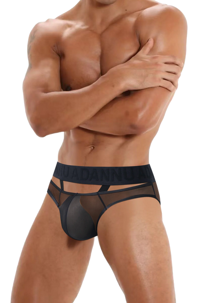 Men’s Sexy Sheer Thong with Ring & Strap Design